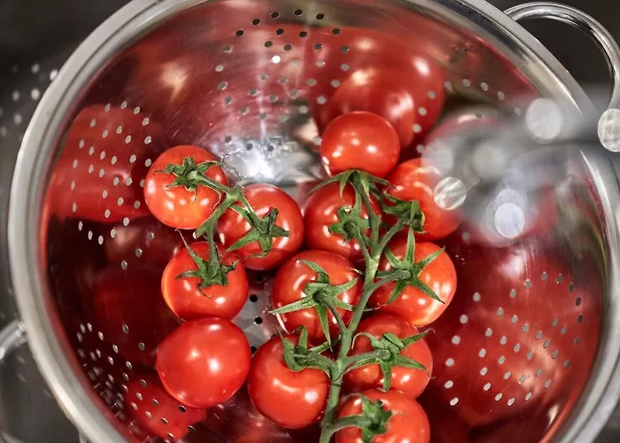 Scharhoern-riff - 16 * Cuxhaven